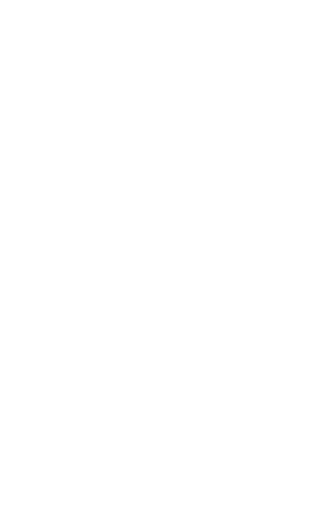 ZS Emblem